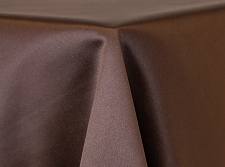 Brown Satin Sash
